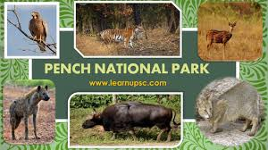 Pench National Park